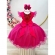 Vestido Infantil Pink Jardim das Borboletas Festas