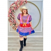 Fantasia Adulto Junino Arraiá Lilás Xadrez Colorido