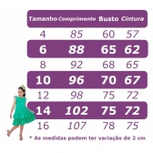 Vestido Infantil Rosa Claro Busto C/ Renda Luxo Damas Longo